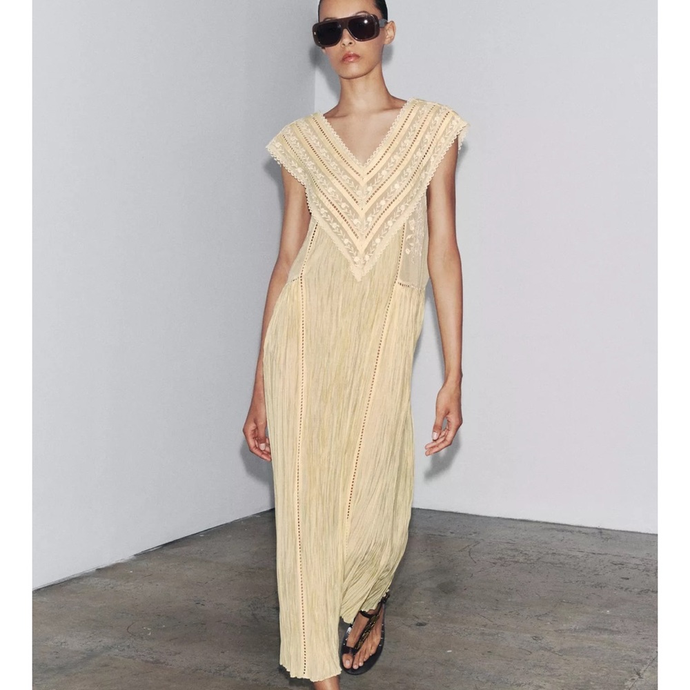 Zara Embroidered Pleated Dress